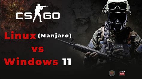 csgo linux vs windows.